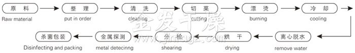 脫水蔬菜帶式干燥工藝流程